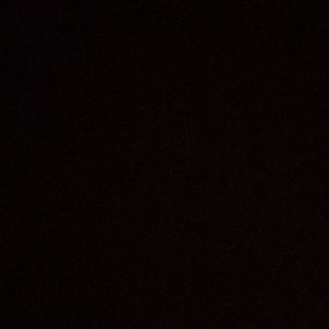 Meet your Posher, Lyani